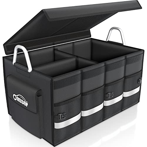 Oasser Trunk Organizer