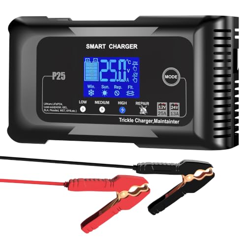 RCGCBC 0-25A Battery Charger