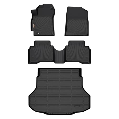 Binmotor Floor Mats & Cargo Liner for Elantra Hybrid