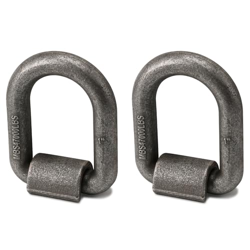 AYMMIC 1" D-Ring (2-pack)